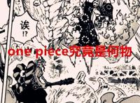 海贼王1040话：大妈一语道破onepiece，原来大秘宝就在我们身边