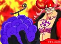 onepiece到底是什么东西
