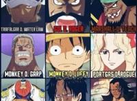 虚假的onepiece是“海贼王”，真实的“OP”其实是这个意思