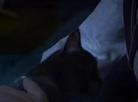 大话首部3D动画即将上线，还让玩家跟丁磊一起担任出品人！