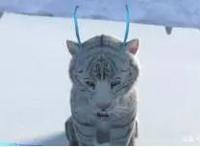 跨界动画《大话之少年游》新动向发布，大话超级庆典今日亮点十足