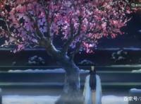 《帝王攻略》：楚渊又双叕挖了那棵梅树，梅树：段月白救我