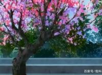 帝王攻略：论狼子野心的西南王如何成功上位