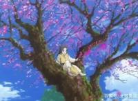 《帝王攻略》恭喜西南王迎娶皇上，新婚大日不让皇上吃饭，太逗了