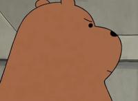 咱们裸熊可爱极了，在生活中发生的爆笑故事，想变成人的故事