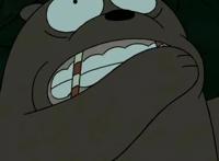 咱们裸熊可爱极了，在生活中发生的爆笑故事，想变成人的故事