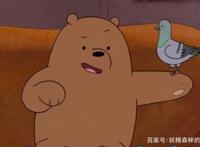 咱们裸熊：白熊最棒？他们表示不服！