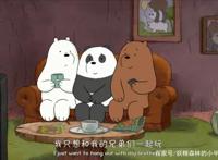 咱们裸熊：白熊最棒？他们表示不服！