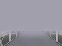 治愈你的心：《咱们裸熊》壁纸大放送，每一张都有个小可爱对你笑