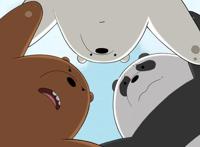 轻松治愈向｜咱们裸熊为何大火？这只白熊成为了多少人的老公~