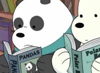 咱们裸熊是美国动漫，他们本身站在那里，太好玩了吧