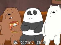 《咱们裸熊》人性最大的弱点在于总是制造让自己同情的事情