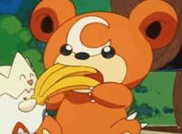 《神奇宝贝》中的三只小熊，简直可以cos《咱们裸熊》