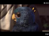 星辰变第二季归来，又添萌宠