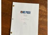 网飞《海贼王》真人剧标题确定！但“最佳选角”，该如何选定？