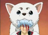 动漫向：新年旺旺旺！盘点动画中的狗