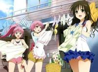 动漫：后宫番那么多，我只羡慕这两位男主！