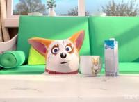 飞狗MOCO番外篇：空无一人的房间里会发生什么？