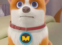 飞狗MOCO番外篇：重启2020我会做什么