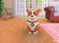 生活不易，狗狗叹气