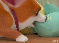 生活不易，狗狗叹气