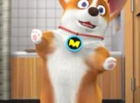 飞狗MOCO番外篇：我的夏天是鸡腿味的