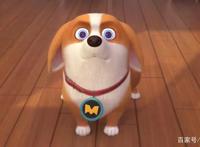 狗狗不发威，一发主人危