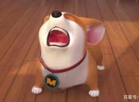 狗狗不发威，一发主人危