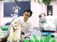 诞生到“爆红”，从《潮生》看萌宠IP“飞狗MOCO”的内容升级之路