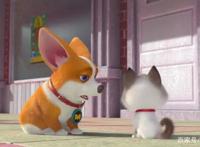 飞狗MOCO番外篇：我和小公举迷路了（上）