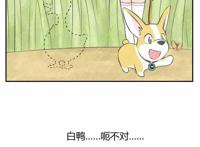 飞狗MOCO漫画：你见过遛鸭的人吗？