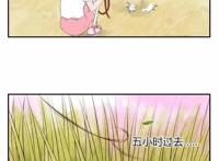 飞狗MOCO漫画：你见过遛鸭的人吗？