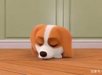 飞狗MOCO番外篇：别人家的孩子来啦！