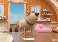 飞狗MOCO的小伙伴：人类的好朋友