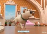 飞狗MOCO的小伙伴：人类的好朋友