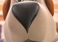 飞狗MOCO的小伙伴：人类的好朋友