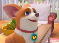 飞狗MOCO番外篇：那些生活中的小确幸，要靠自己去发现