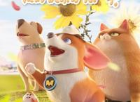 飞狗MOCO壁纸：好时光，我的快乐分你一半