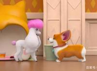 飞狗MOCO番外篇：我不会爱上一只猫咪，但我会喜欢一只狗