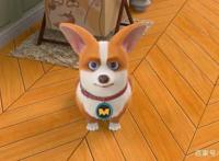 飞狗MOCO番外篇：人跟狗可以无聊到什么地步