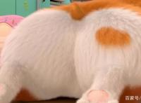 飞狗MOCO三十六计：上屋抽梯