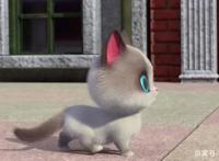 飞狗MOCO番外篇：我和小公举迷路了（下）