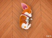 飞狗MOCO番外篇：意外走红