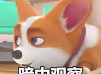 飞狗MOCO的小伙伴：吸……