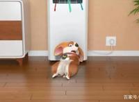 飞狗MOCO三十六计：顺手牵羊