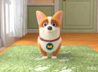 飞狗MOCO三十六计：顺手牵羊