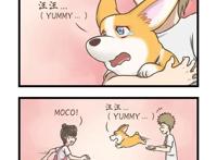 飞狗MOCO漫画：重逢的那一刻