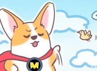 飞狗MOCO五十问：你想知道的东西都在这里