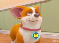 飞狗MOCO番外篇：干饭狗，不讲武德