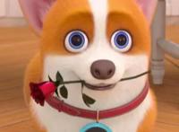 飞狗MOCO有话说：妳本来就很美